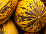 Jigsaw: Yellow Melons - играть онлайн бесплатно